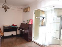 Blk 543 Jelapang Road (Bukit Panjang), HDB Executive #205082331
